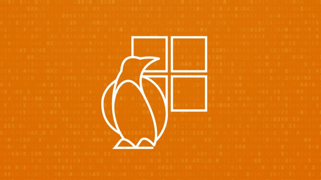 It’s finally happened, Linux is easier to use than Windows picture: A It’s finally happened, Linux is easier to use than Windows picture: A