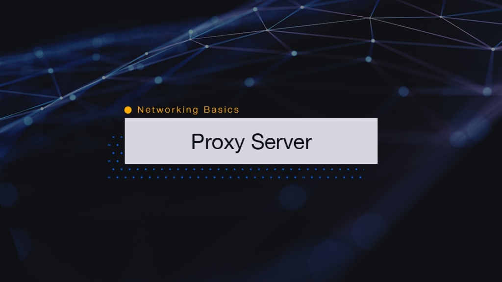 Networking Basics: What is a Proxy Server picture: A