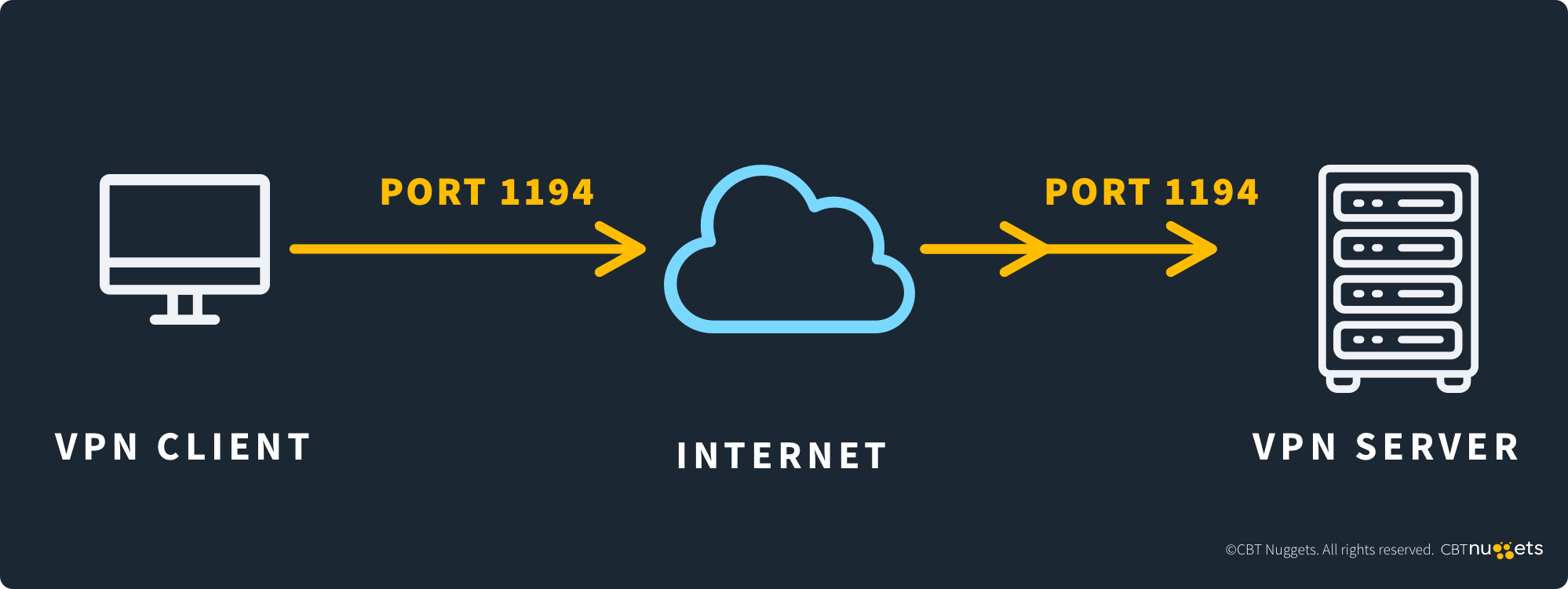 What-is-Port-1194-Diagram